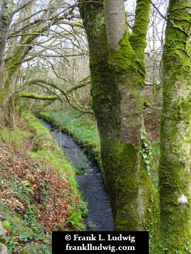 Connemara National Park